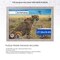 ArtToFrames 27.56x19.69 INCH / 70x50 CM Puzzle Frame for 1000 piece Puzzles.This 1.25 Inch Custom MDF Frame for Puzzles Comes with Economy Acrylic, Available in Multiple Colors